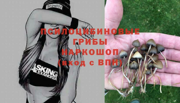 хмурый Наволоки