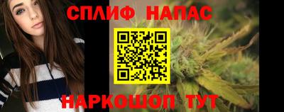 крисы Аргун