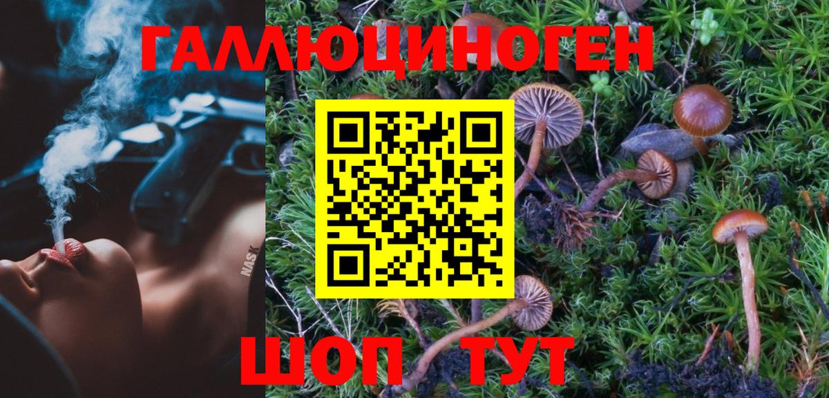 Псилоцибиновые грибы Psilocybine cubensis Аша