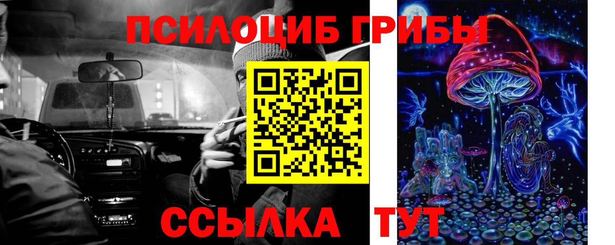 Псилоцибиновые грибы Psilocybe  Вход с VPN  Псилоцибиновые грибы Cubensis  Аша 